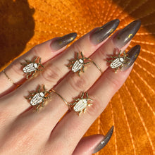 Load image into Gallery viewer, Tiny Bug Set- Moth and Beetle Enamel Pins