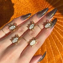 Load image into Gallery viewer, SECONDS SALE Tiny Bugs- Moth and Beetle Enamel Pins